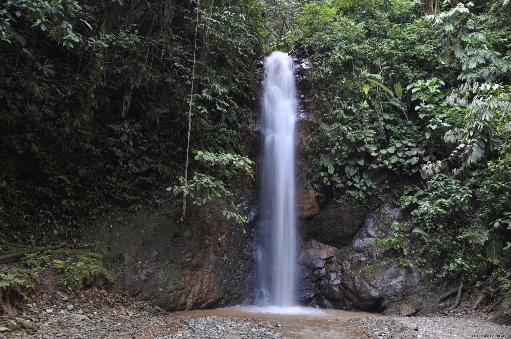 Foto: Cascada La Resistencia - Satipo, Perú