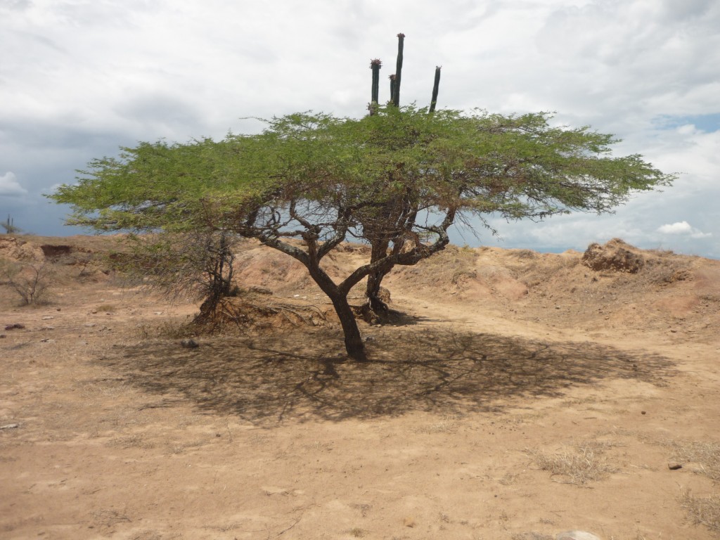 Foto de Villanueva (Huila), Colombia