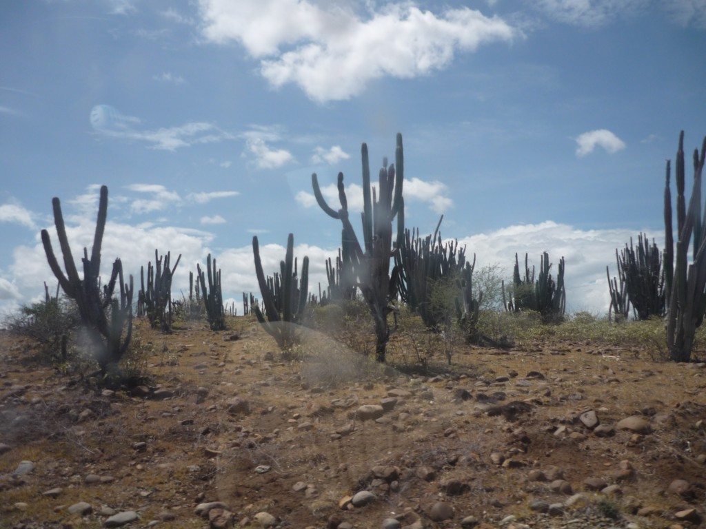 Foto de Villanueva (Huila) (Huila), Colombia