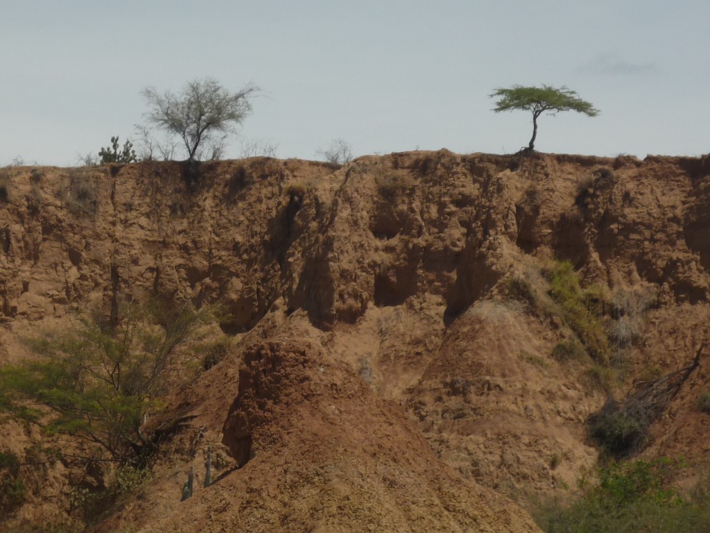 Foto de Villanueva (Huila), Colombia