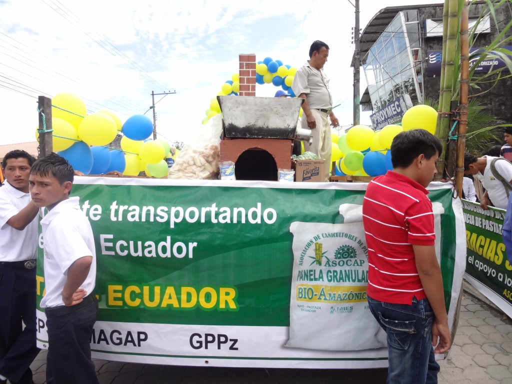 Foto: Panela granulada - Puyo (Pastaza), Ecuador