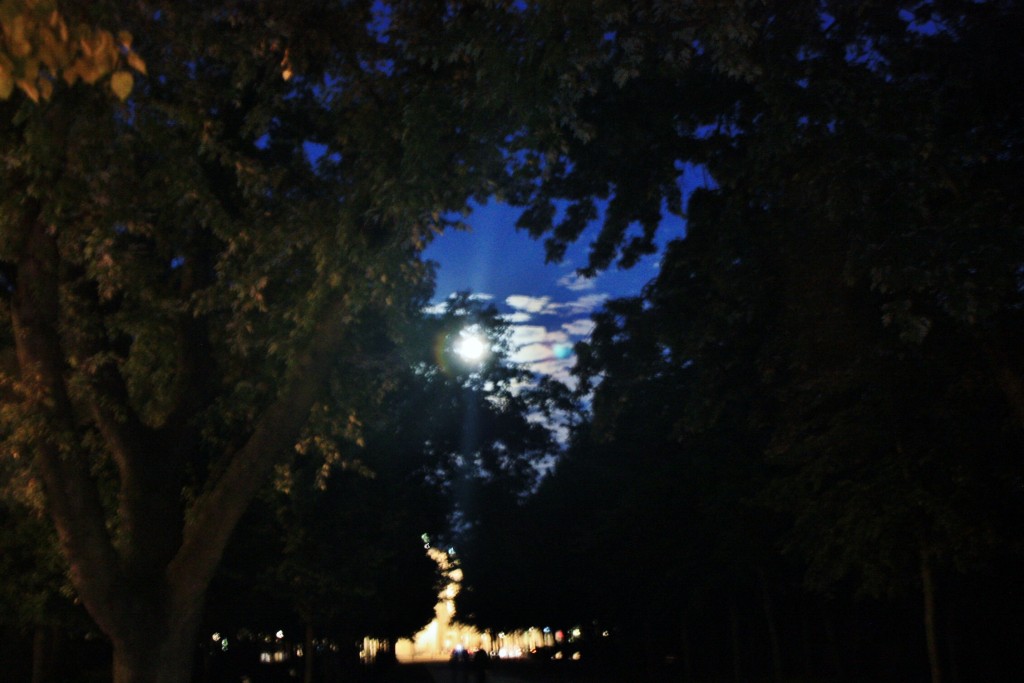 Foto: Vista nocturna - Berlín (Berlin), Alemania