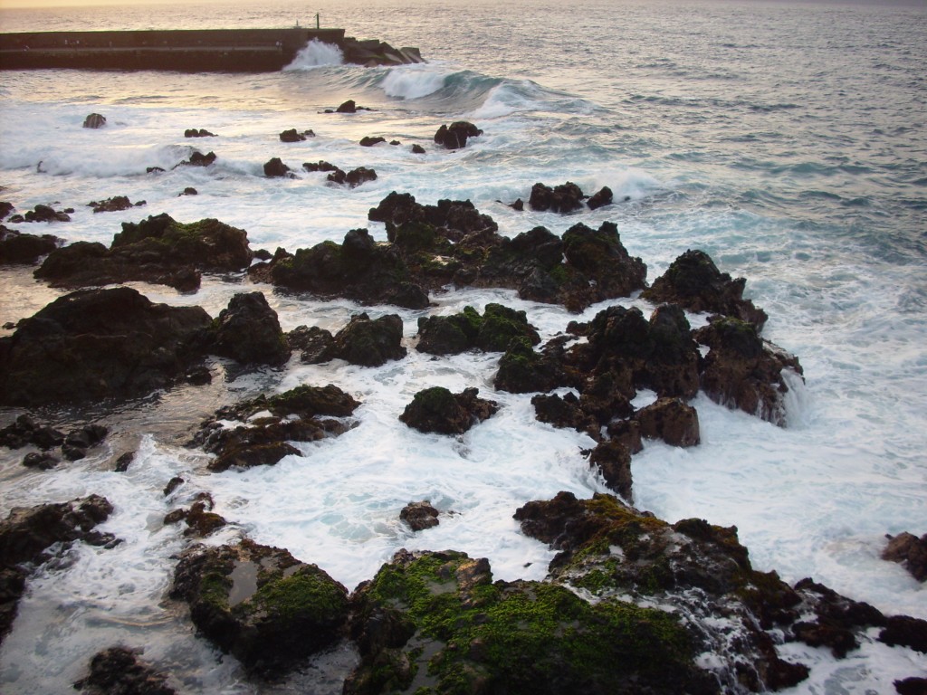 Foto de Puerto De La Cruz (Santa Cruz de Tenerife), España
