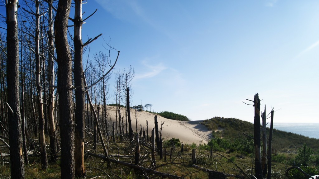 Foto de Arcachon, Francia