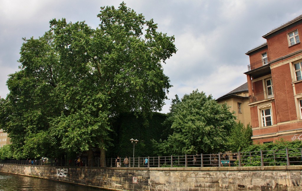 Foto: Navegando por el Spree - Berlín (Berlin), Alemania