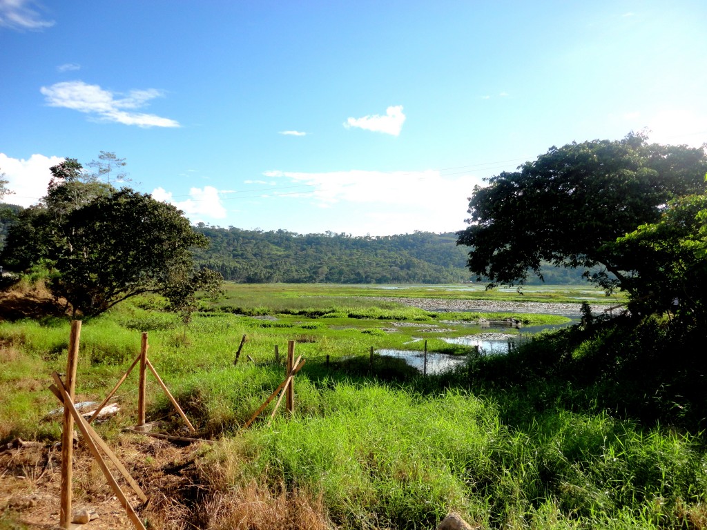 Foto: Pajonal En Villarica - Villarica (Pasco), Perú