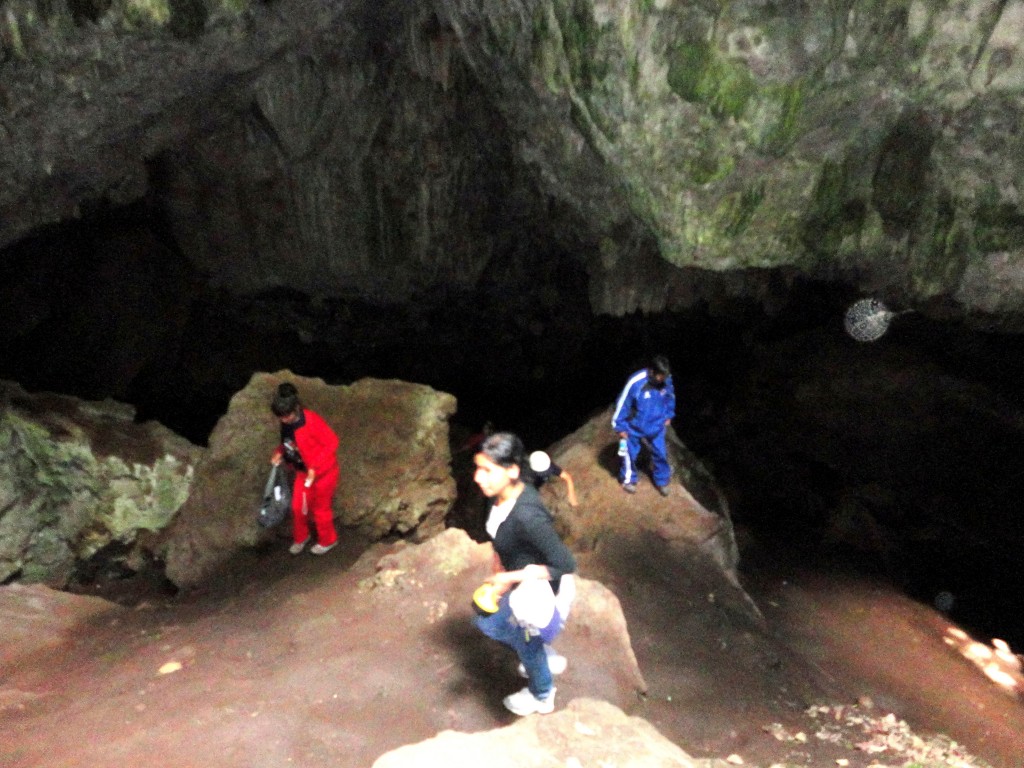 Foto: Cueva De Los Gallitos De La Roca - Oxapampa (Pasco), Perú
