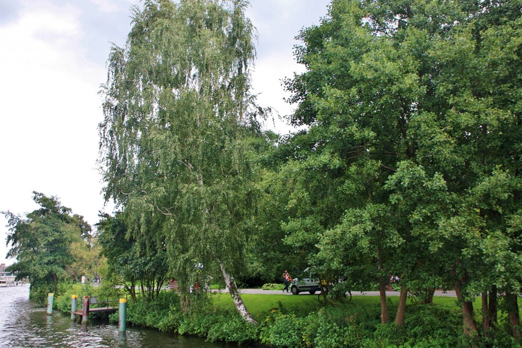 Foto: Navegando por el Spree - Berlín (Berlin), Alemania