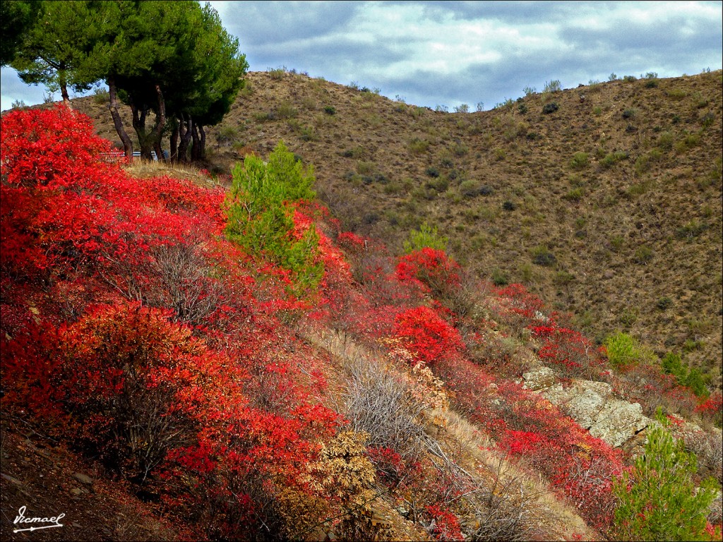 Foto: 111117-002 NUEVALOS - Nuevalos (Zaragoza), España