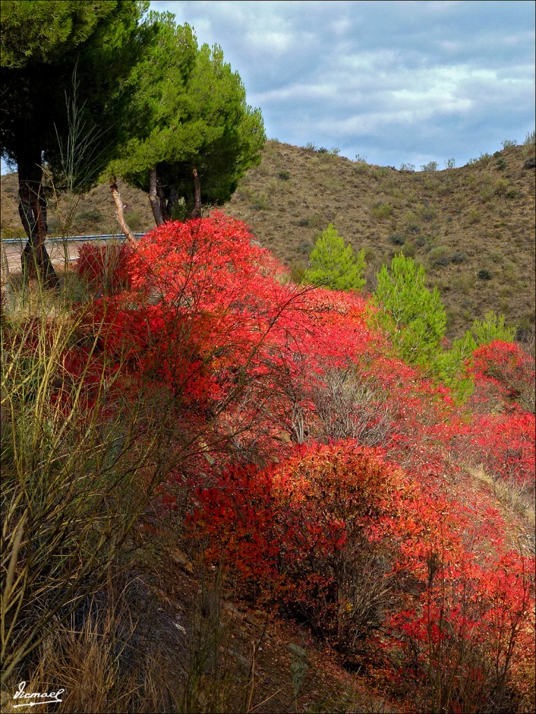 Foto: 111117-004 NUEVALOS - Nuevalos (Zaragoza), España