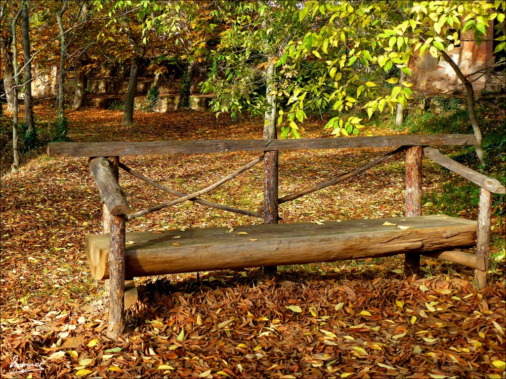 Foto: 111117-008 MONASTERIO PIEDRA - Nuevalos (Zaragoza), España