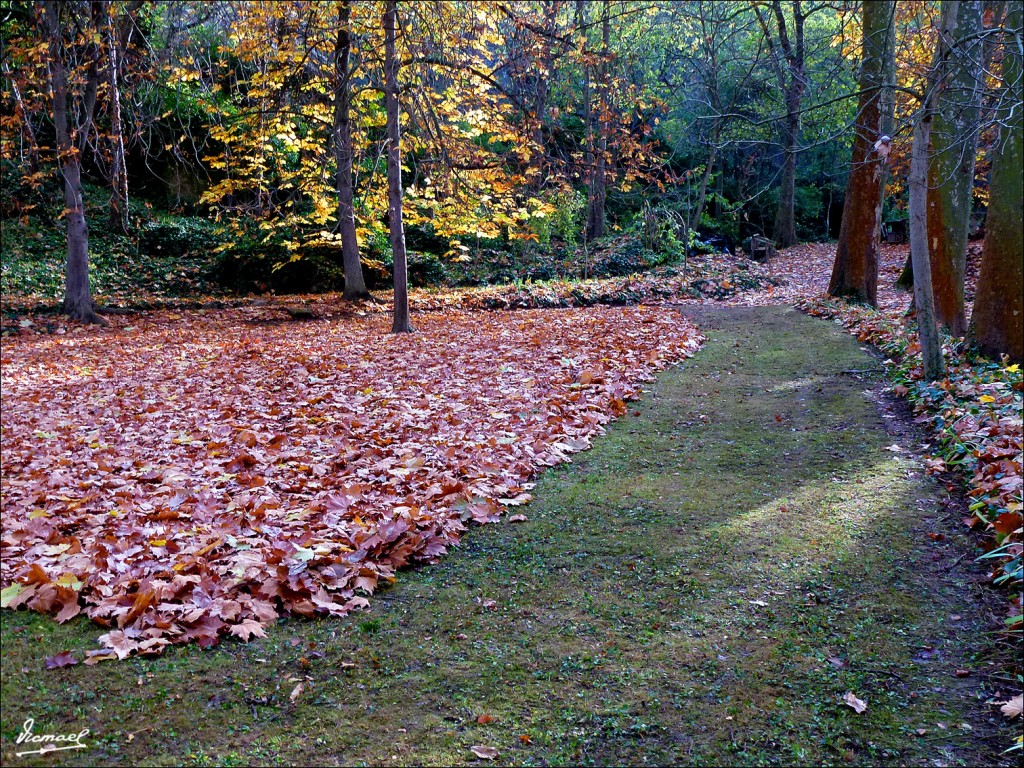 Foto: 111117-012 MONASTERIO PIEDRA - Nuevalos (Zaragoza), España