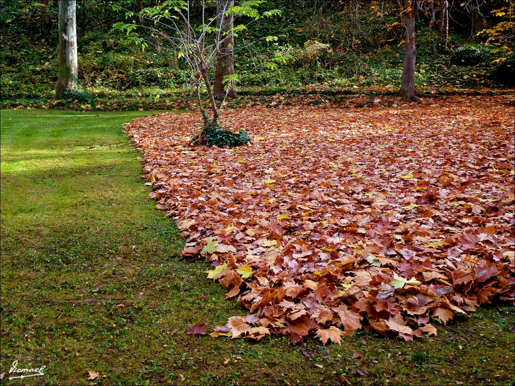 Foto: 111117-013 MONASTERIO PIEDRA - Nuevalos (Zaragoza), España