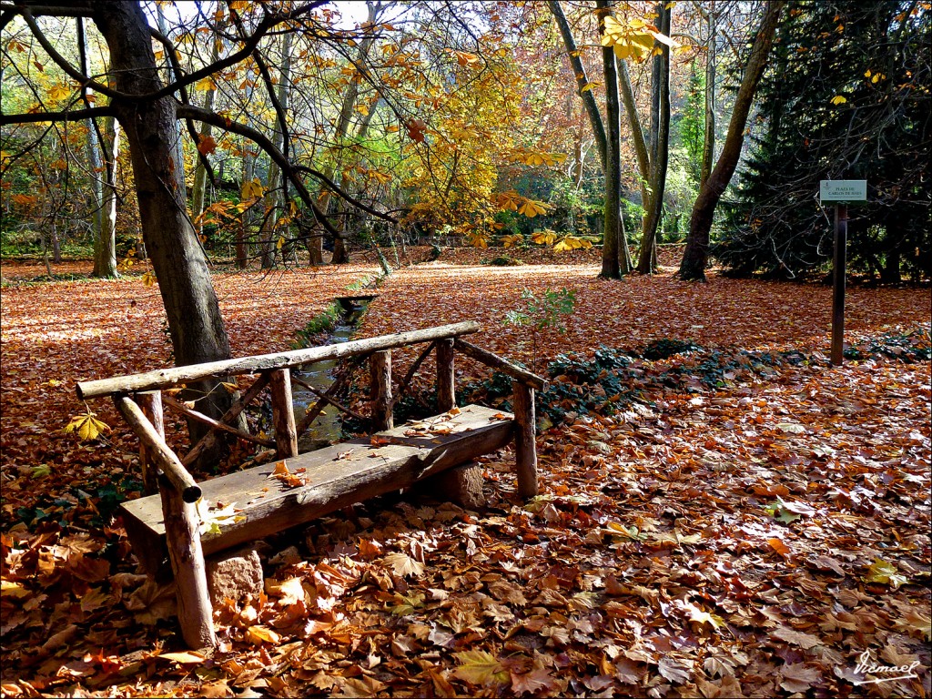 Foto: 111117-016 MONASTERIO PIEDRA - Nuevalos (Zaragoza), España