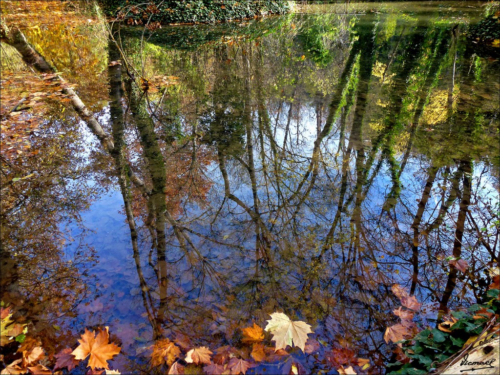 Foto: 111117-024 MONASTERIO PIEDRA - Nuevalos (Zaragoza), España