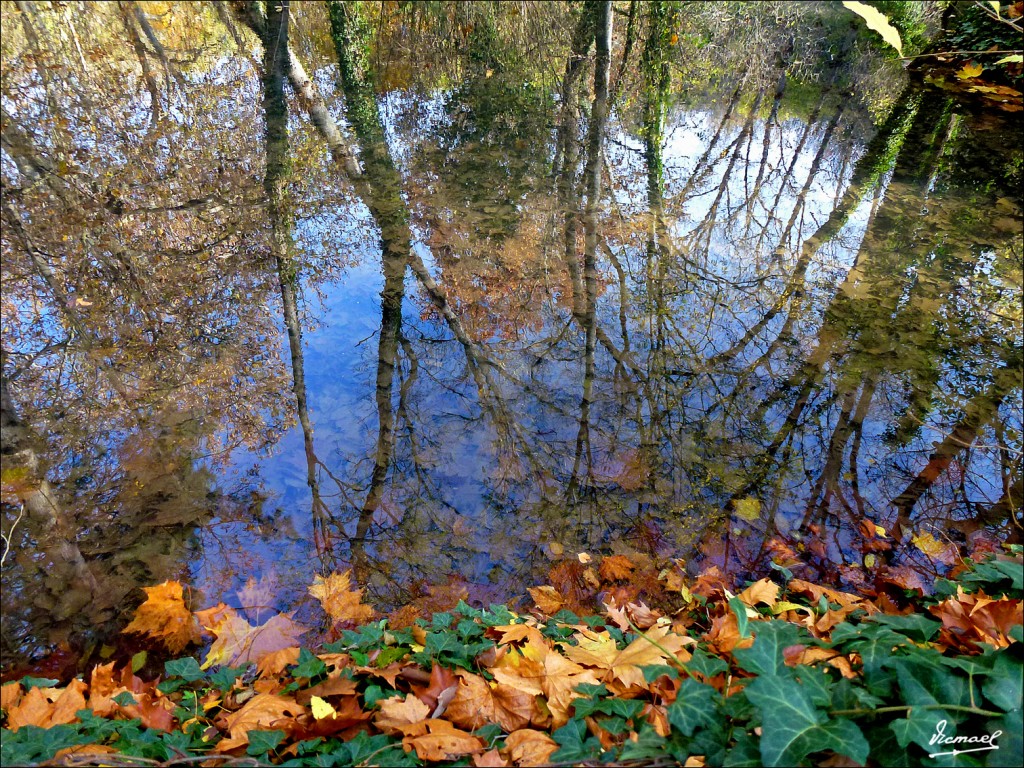 Foto: 111117-025 MONASTERIO PIEDRA - Nuevalos (Zaragoza), España