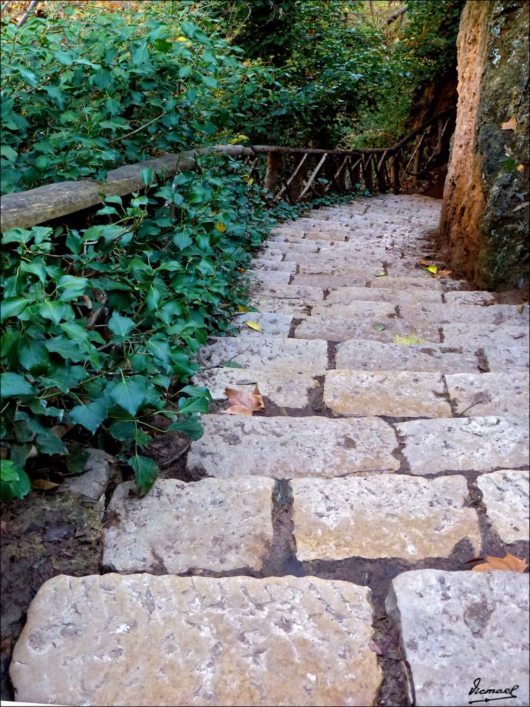 Foto: 111117-043 MONASTERIO PIEDRA - Nuevalos (Zaragoza), España