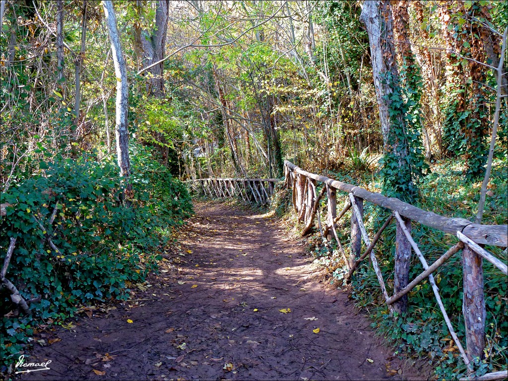 Foto: 111117-059 MONASTERIO PIEDRA - Nuevalos (Zaragoza), España