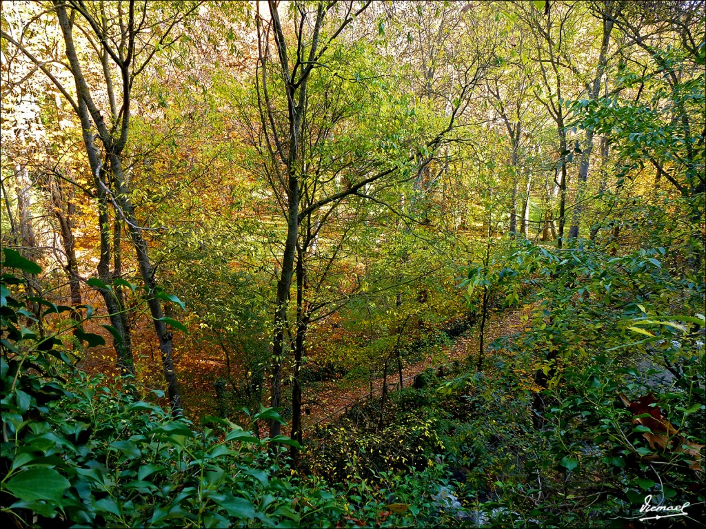 Foto: 111117-068 MONASTERIO PIEDRA - Nuevalos (Zaragoza), España