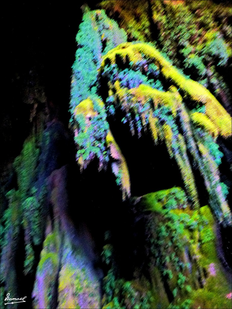 Foto: 111117-089 MONASTERIO PIEDRA - Nuevalos (Zaragoza), España