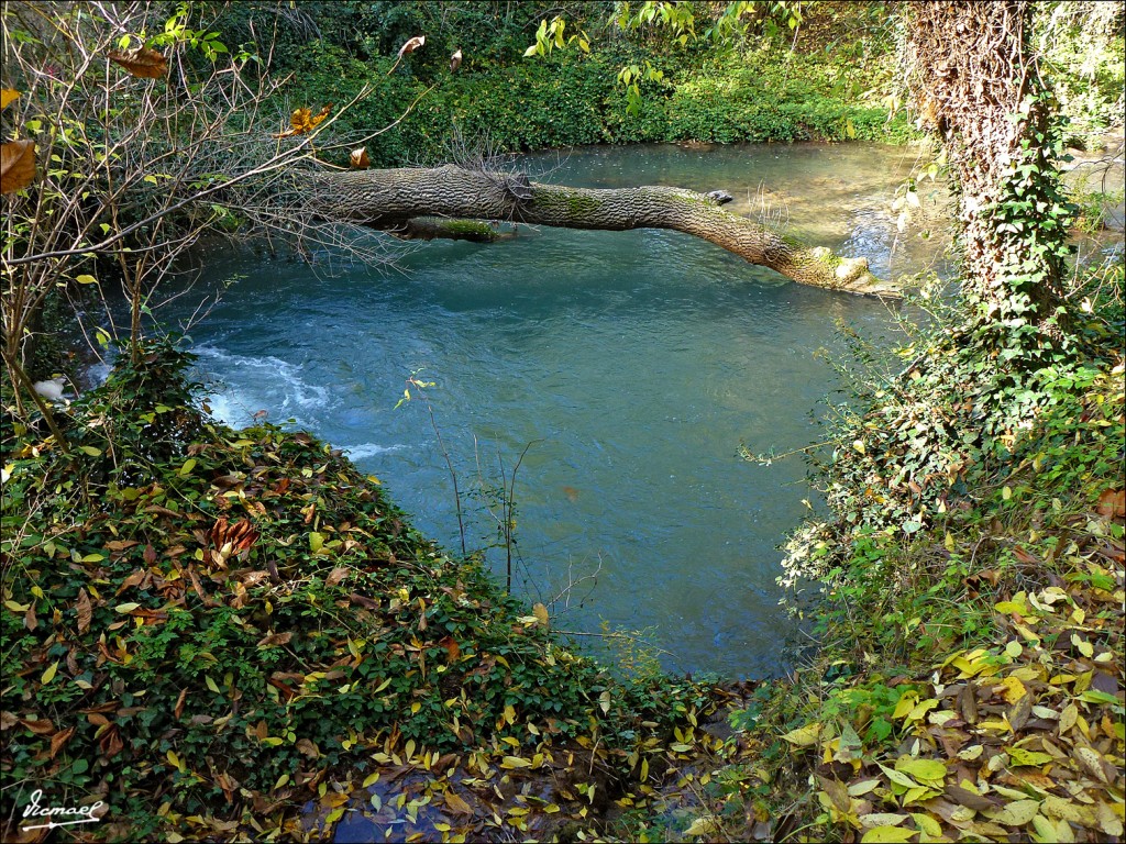 Foto: 111117-102 MONASTERIO PIEDRA - Nuevalos (Zaragoza), España