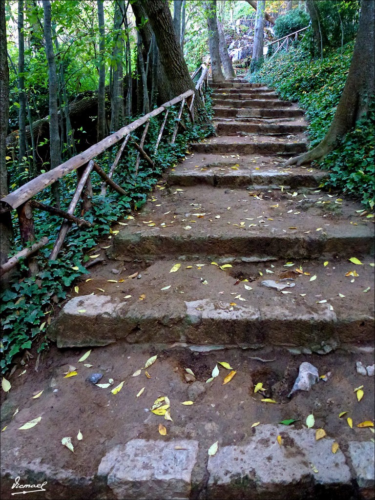 Foto: 111117-157 MONASTERIO PIEDRA - Nuevalos (Zaragoza), España