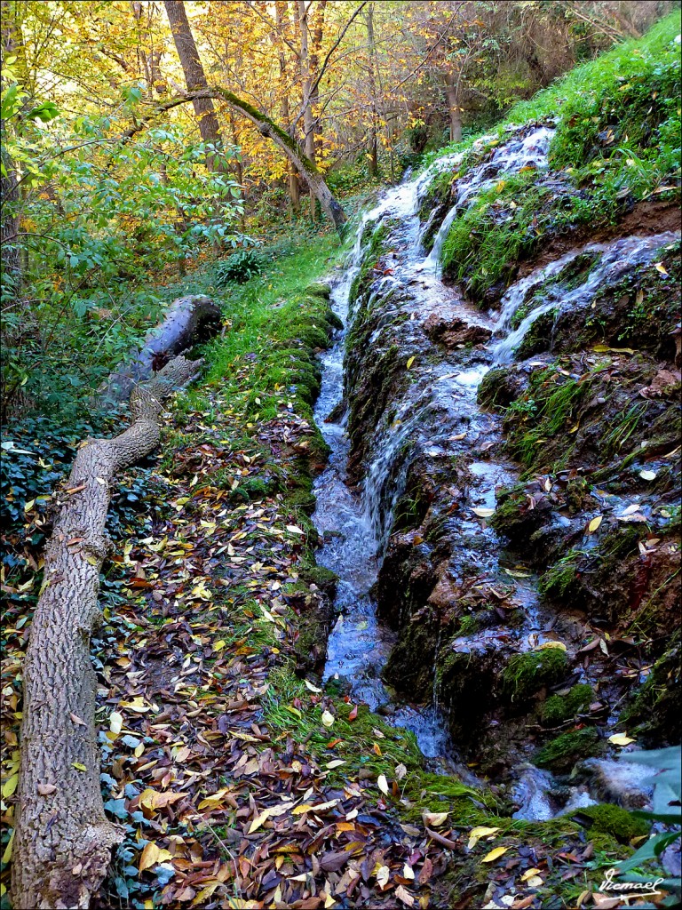 Foto: 111117-159 MONASTERIO PIEDRA - Nuevalos (Zaragoza), España