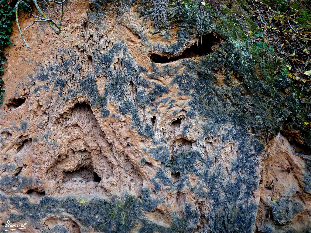 Foto: 111117-167 MONASTERIO PIEDRA - Nuevalos (Zaragoza), España