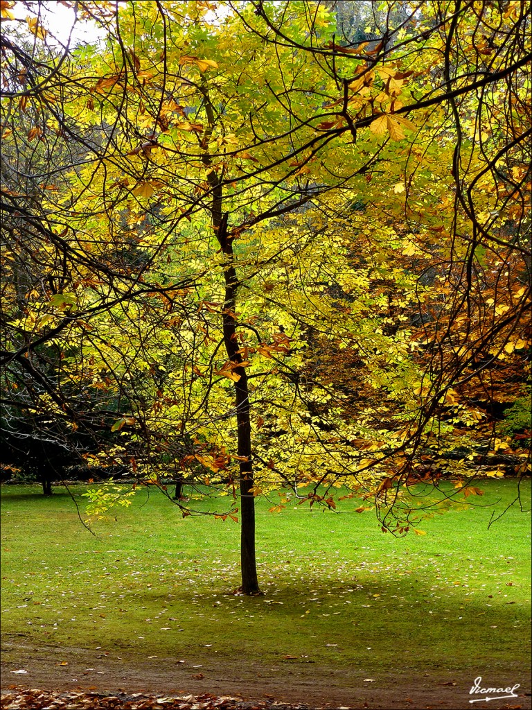 Foto: 111117-180 MONASTERIO PIEDRA - Nuevalos (Zaragoza), España