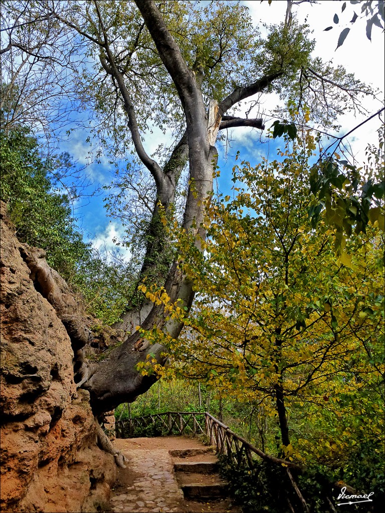 Foto: 111117-184 MONASTERIO PIEDRA - Nuevalos (Zaragoza), España