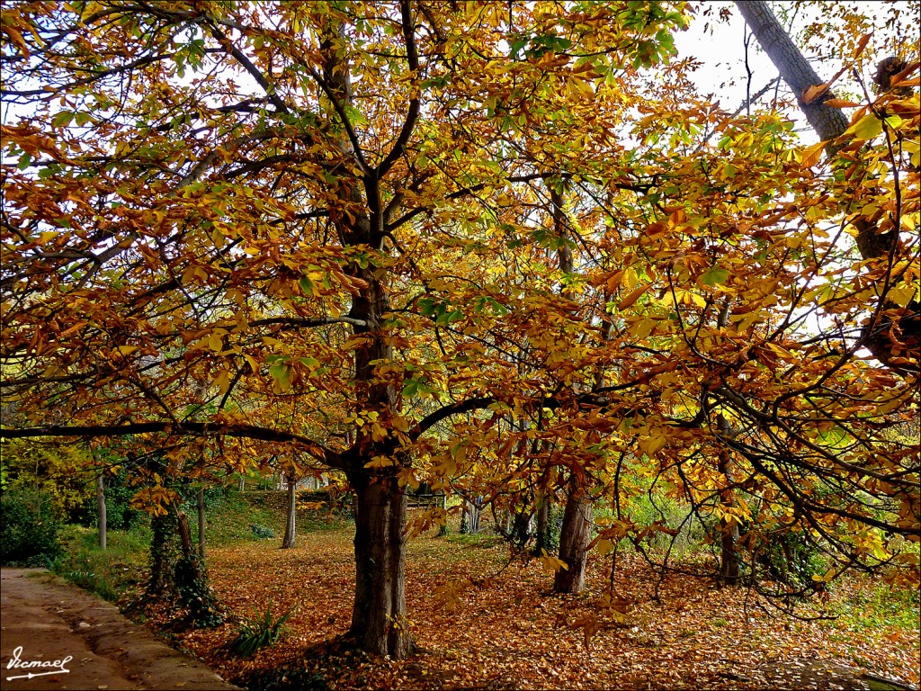 Foto: 111117-186 MONASTERIO PIEDRA - Nuevalos (Zaragoza), España