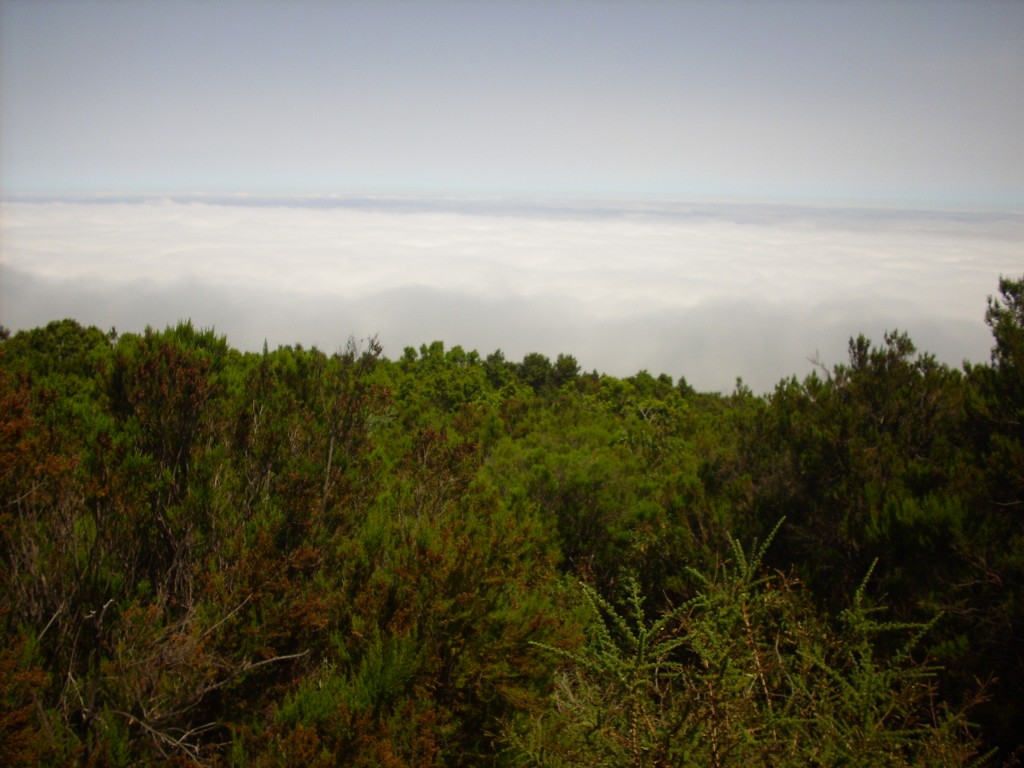 Foto de Parque Nacional del Teide (Santa Cruz de Tenerife), España