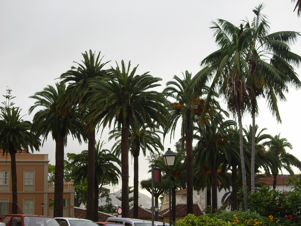 Foto de La Orotava (Santa Cruz de Tenerife), España