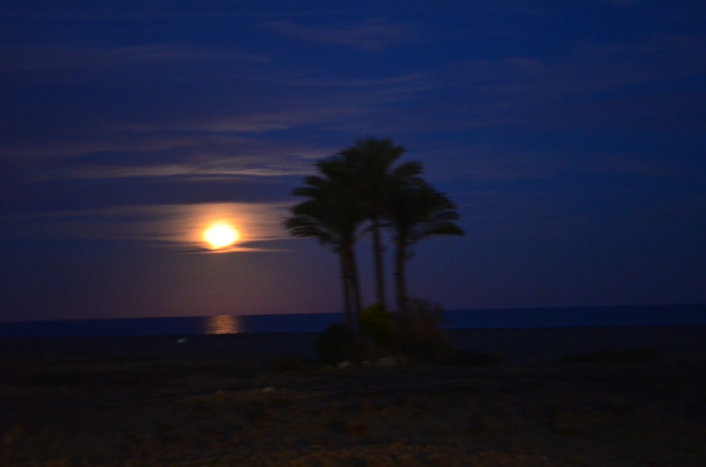 Foto: Playa de Vera - Vera (Almería), España
