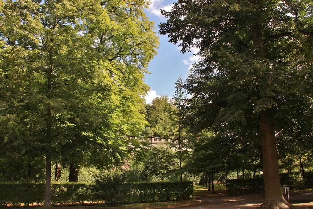 Foto: Jardín de La Residencia - Würzburg (Bavaria), Alemania
