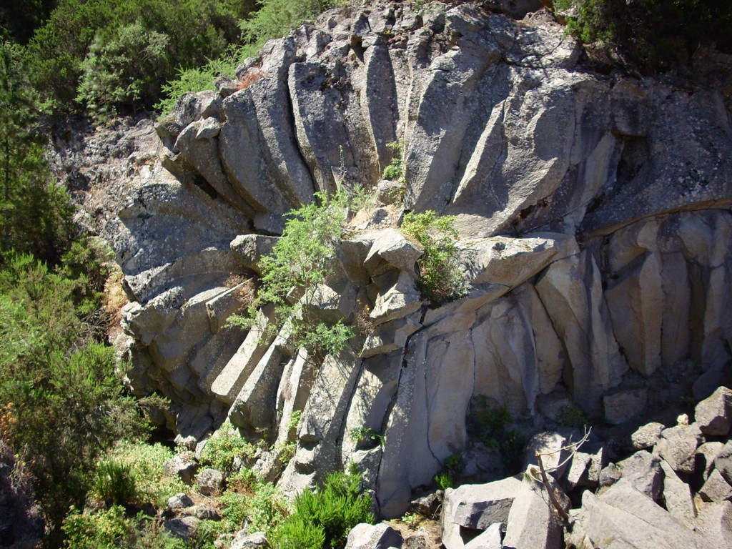 Foto de Parque Nacional del Teide (Santa Cruz de Tenerife), España