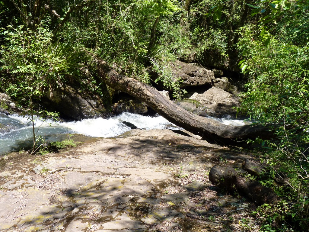 Foto: Cañadón de Profundidad. - Candelaria (Misiones), Argentina