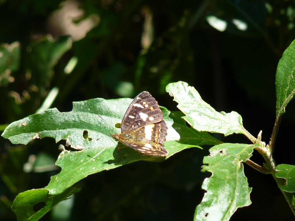 Foto: Cañadón de Profundidad. - Candelaria (Misiones), Argentina