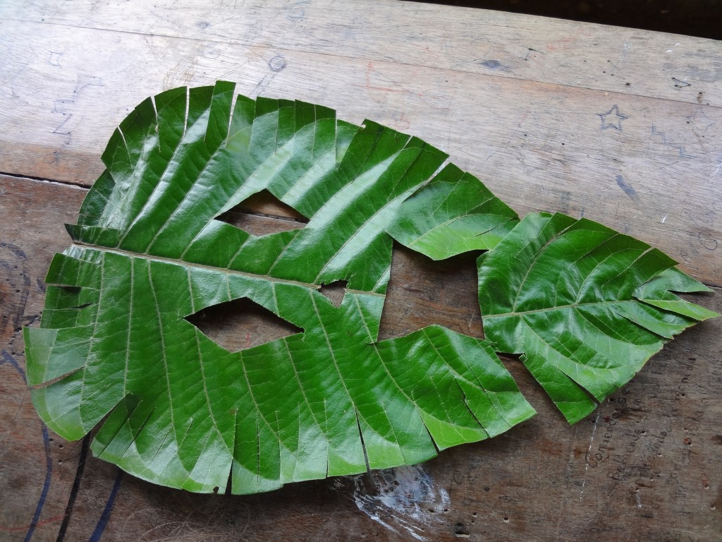 Foto: Careta de hoja - Mushullacta (Pastaza), Ecuador