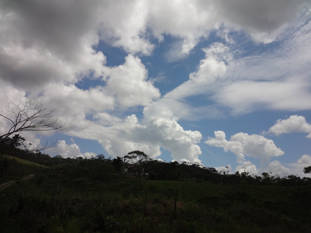 Foto: Paisaje - Puyo (Pastaza), Ecuador