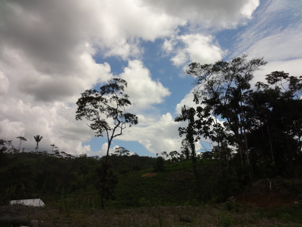 Foto: Pisaje - Puyo (Pastaza), Ecuador