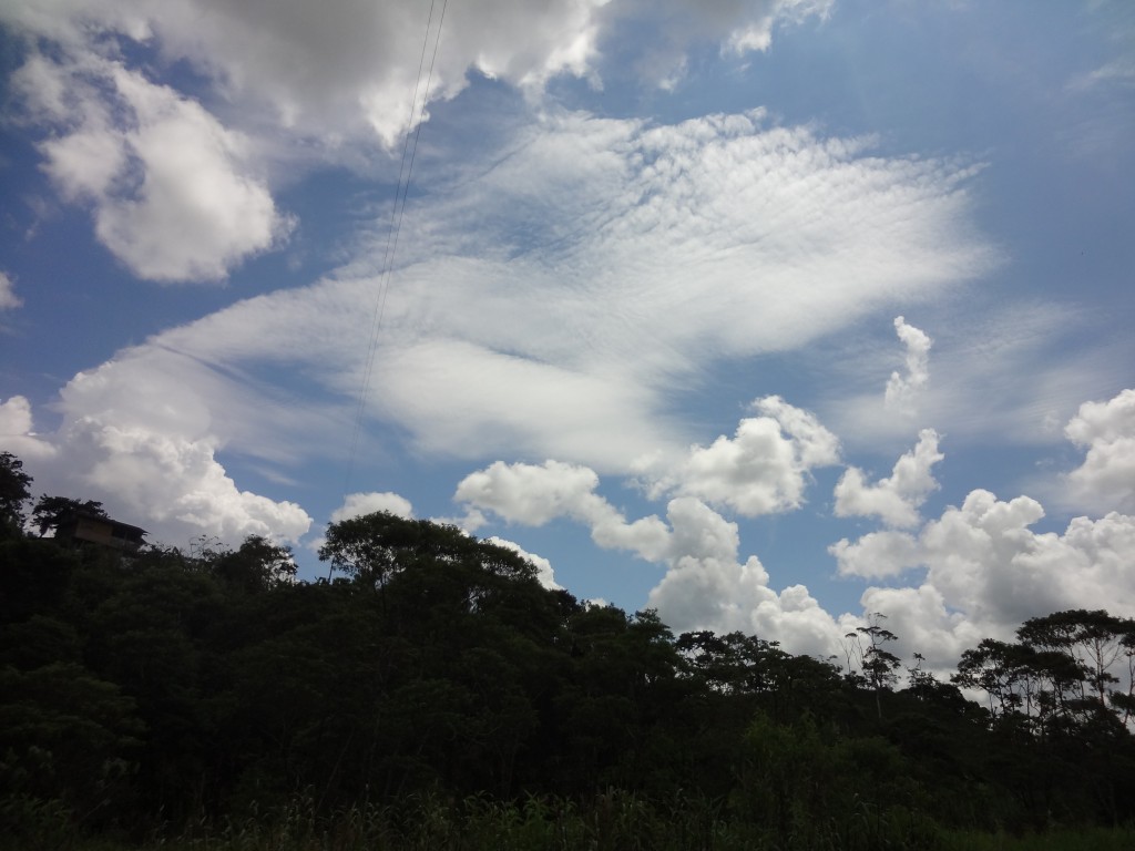 Foto: paisaje - Puyo (Pastaza), Ecuador