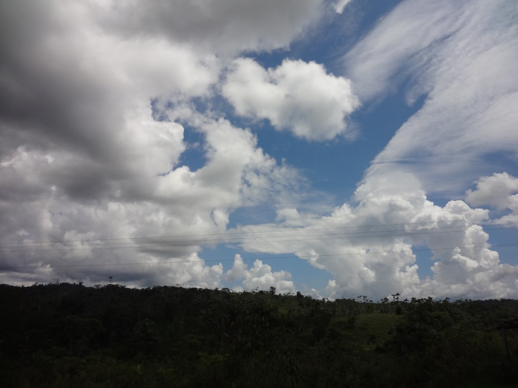 Foto: Paisaje - Puyo (Pastaza), Ecuador