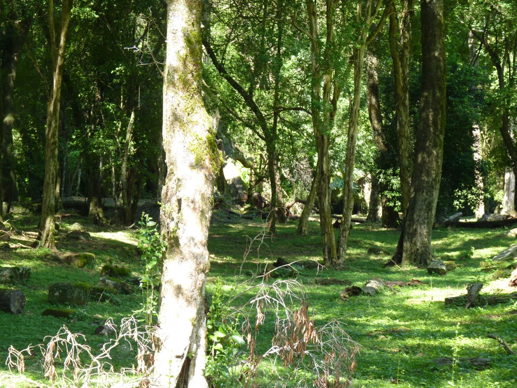 Foto: Ruinas jesuíticas - Santa Ana (Misiones), Argentina
