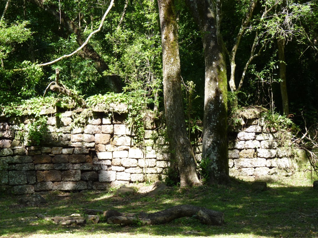 Foto: Ruinas jesuíticas - Santa Ana (Misiones), Argentina