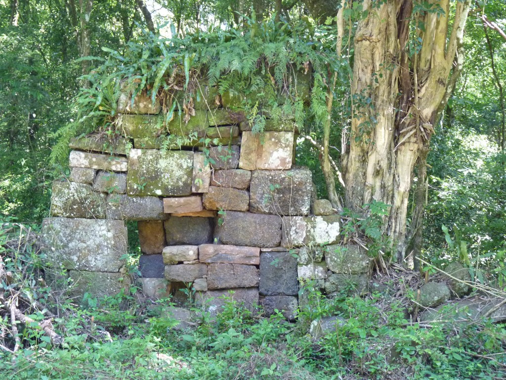 Foto: Ruinas jesuíticas - Santa Ana (Misiones), Argentina