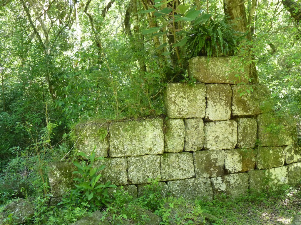 Foto: Ruinas jesuíticas - Santa Ana (Misiones), Argentina