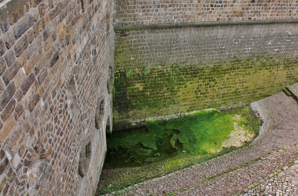 Foto: Antiguo foso - Dresden (Saxony), Alemania