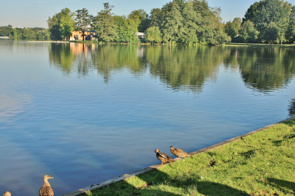 Foto: Lago - Nuremberg (Nürnberg) (Bavaria), Alemania