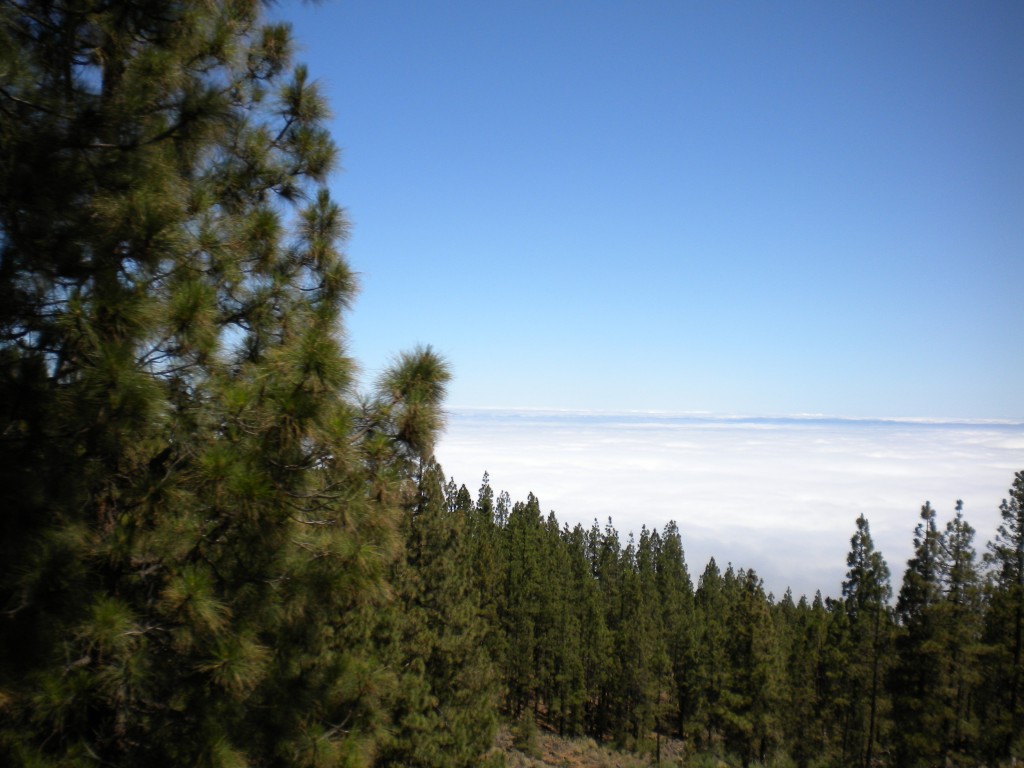 Foto de Parque Nacional de Teide (Santa Cruz de Tenerife), España